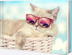 28 x 19 (A4 Landscape)